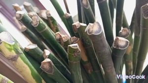 BAHAN WAREGU BAHAN JORAN PANCING 150 160.CM