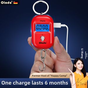 Portable High Precision Mini Hanging Scale Rechargeable