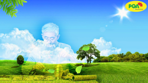 PQA viên nang Phế Quản dùng cho người bị viêm phế quản Ho khan ho kéo dài ho có đờm khó thở