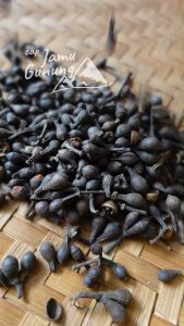 Asli Hutan!! Ceplikan & Ceplik Sari Kering Organik