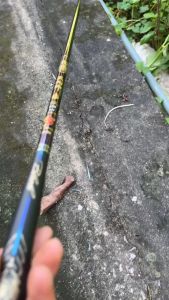 CẦN CÂU ĐƠN HẮC ĐIẾU SƯ 4H KÈM NGỌN  CẦN CÂU CẢM GIÁC CHUYÊN CÁ NHỎ