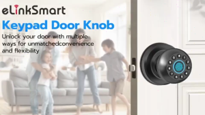 Tuya Smart Door Lock Fingerprint Digital Round Ball Door Knob For Bedroom Office Apartment Garage