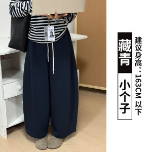 Grey High Waist Casual Sports Pants Womens Autumn 2025 New Style Slimming Nine-Piece Wide Leg Pants Small Size Knife