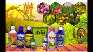 FUNGISIDA VITRO 425sc 250ML (3+1)Dengan 2BHN aktif/Obat Penyakit TanamanBusuk DaunPenyakit Tanaman