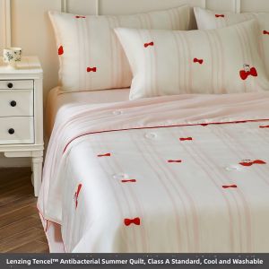 shui yang | Smooth Antibacterial Air Conditioning Blanket Set 4 Pieces