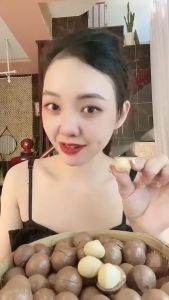 【Buy 1 Take 1】MR.SQUIRREL Macadamia Nuts 500g Ready to Eat Roasted Macadamia Nuts Healthy Foods Snacks With Case Opener