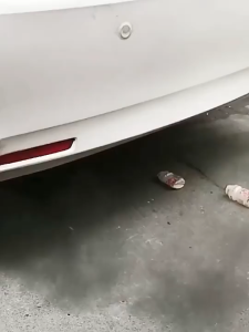 [Local SG Seller] Strong Chief Catalytic Converter Cleaner for Petrol vehicles Pour into Fuel tank  Suitable for P0420 Fault Code Catalytic Cleaner Cat Cleaner