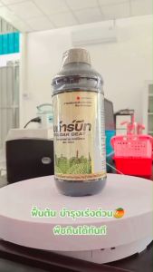 ซูก้าร์บีท น้ำตาลทางด่วนสำหรับทุเรียน น้ำตาลซอร์บิทอล ขนาด 1 ลิตร ดวงตะวันเพชร ช่วยบำรุงต้นใบ และ บำรุงผลเพิ่มความหวาน