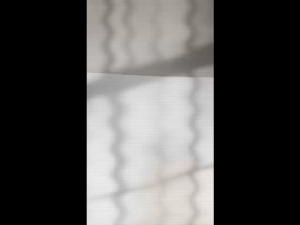 Kurma Medjool Jumbo 1kg / Medjol Natural Delight /  Medjoul Dates / oleh oleh haji kurma elshanum II