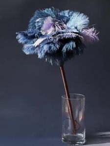 Static Dusting Feather Duster