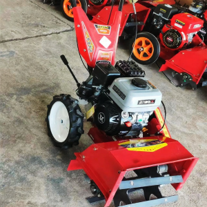 Versatile Grass Cutting and Mulching Machine with Strong Engine Power for Orchards Fields and Hills Gasoline Weeding Machine