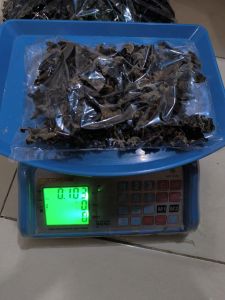 Jamur Kuping kering 100gr ukuran daun kecil sortir