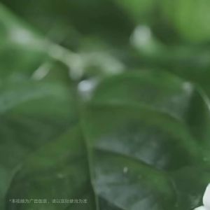 Xiaomi | Bình Giữ Nhiệt Thông Minh Xiaomi Mijia Ti 2 Bằng Titan Nguyên Chất Cấp Y Tế Giữ Ấm 6 Giờ Cốc Uống Nước Di Động Dành Cho Người Lớn