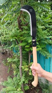 ขอปากนกเหล็กแมงกานีสแข็งคม  ด้ามไม้เค็งงอ ๆ ใช้ฟันกิ่งไม้ถางหญ้าถางป่า ถางฟันไม้ไผ่ได้