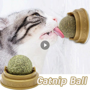 [HATELI] Catnip Cat Wall Stick-on Ball Natural Mint Promote Digestion Cat Grass Pet Toy Improve Appetite Spinning Toy Ball