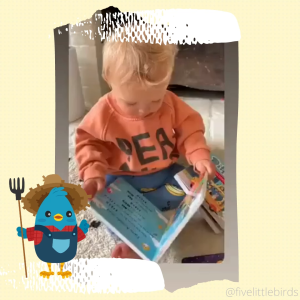 Ditty Bird Farm Animals Sounds Book