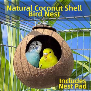 ZUNYI | Summer Anti-chew Bird Nest Coconut Shell