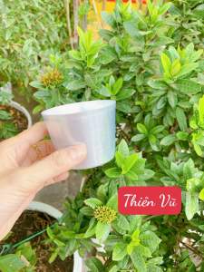 COMBO 5 Ly nhôm ly làm đá nhôm bỏ tủ lạnh đủ size từ 8cm - 12cm rất tiện lợi cho gia đình