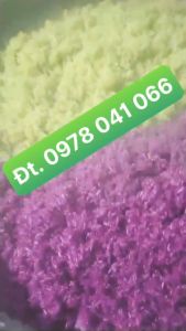 Nồi hấp đồ xôi chạy điện đường kính 40cm