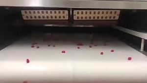 Cross-border Bestseller Probiotic Gummies  Probiotic gummies  Direct Sales from Source Factory Support Customization   System