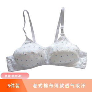 5-Piece Cotton Floral Thin Wireless Breathable Sweat Absorbing Middle-Aged and Elderly Pregnant Women Young Adult AB Small Bra Cup Bra
