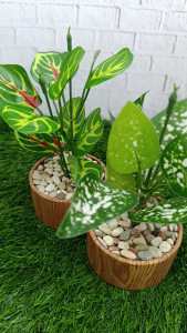 Tanaman Hias Mini Artificial Motif Daun Merah | Pot Motif Kayu Elegan | DIY Handmade | Ukuran 8x20cm | Stok Terbatas