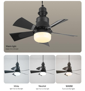 LED Ceiling Fan Lights with Remote for Living Room Modern Design 2-in-1 E27 Smart Fanlight Removable 5 Blades Electric Fan Silent Chandelier Ceiling Light Easy Install