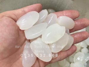1kg Hạt Đác Tươi Sạch Nha Trang Loại Vip