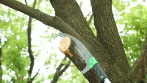 8.5M Tree pruning saw Telescopic Pole High-Branch saw Tree cutting saw branch cutting Hand saw