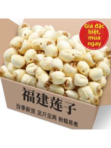 Hạt Sen Trắng Sấy Khô Đã Loại Hạt 500g