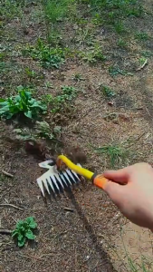 11Teeth Weeding Uprooting Tool Multi Purpose Kalaykay for Garden Grass Remover Tool Grass Rake
