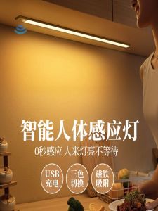 Ultra-Thin Wireless Human Body Induction Cabinet Light Rechargeable Kitchen LED Sensor Lamp No Punching Required