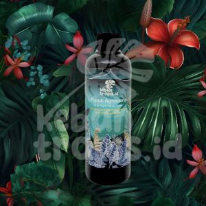 Pupuk Cair Aglonema Penyubur Daun Ampuh Asli untuk Akar Cepat Beranak dan Bertunas 250 mL Pupuk Agar Aglonema Rimbun  Dan Berdaun Lebat Perangsang Tunas Khusus Aglonema Untuk Jenis Semua Tanaman Aglonema Suksom Adelia Claudia Red Anjamani P