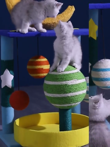 TeekerPet Cat Tree Tower with Transparent Hammock Cat Climbing Trees for Indoor Kittens Large Adult Cat Towers with Scratching Post Cats Condo Furniture with Moon Top Perch