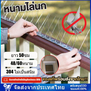 หนามกันนก กันนกเกาะ หนามไล่นก ยาวเส้นละ 50 ซม. หนาม 30 คุ่ กิ่งสแตนเลส ที่ดักนก กันนกพิราบ Bird Spikes อุปกรณ์ไล่นกทำรัง ทนทาน อุปกรณ์ไล่นก ไล่นกพิราบ หนามไล่นก ปลอดภัยที่ไล่แมว หนามไล่แมว