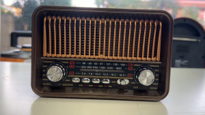 HR29BT Portable Bluetooth Music Player with FM/AM/SW Radio