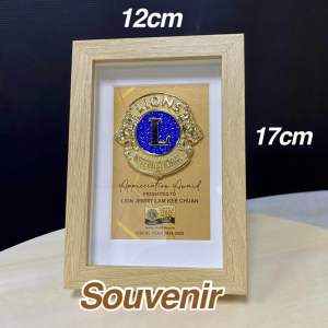 Lion Trophy /Gold/ Silver /Lion of The Year