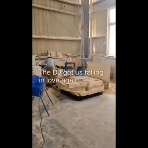 Solid Wooden Bunk Beds & Adult Bunk Beds: A Comprehensive Guide