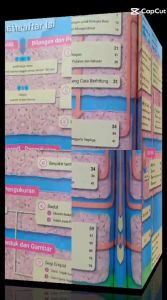 Ori Buku Matematika Kelas 4 SD/MI Volume 1 Kurikulum Merdeka Kemendikbud