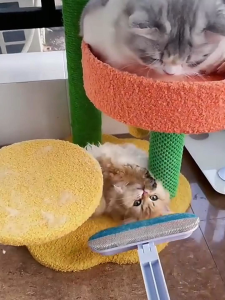 แปรงขนแมว แปรงเก็บขนหมาทำความสะอาดเส้นผมจากโซฟาและเสื้อผ้า สามารถทำความสะอาดฝุ่นจากหน้าต่างและรอยแตกได้ แปรงอเนกประสงค์