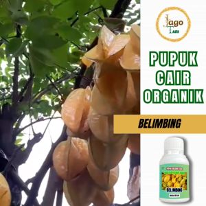 Pupuk Organik Cair Khusus Buah Blimbing 100 Ml Tingkatkan Kualitas Jadi Manis By Jagotani Yogyakarta