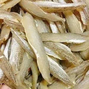 1kg file Cá Mối dẻo 1 nắng (giao hoả tốc 2h tphcm)