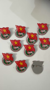 Combo 10c huy hiệu đoàn