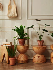 Rustic Wooden Artistic Stand