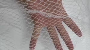 Orchard Anti Hail Net Fish Pond Anti Bird Net Goji Berry Cherry Grape Net Greenhouse Hail Net Locust and Debris Protection