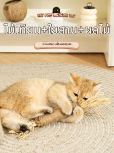 HOOPET | Teasing Self-Entertainment Cat Toy for Kitten With Matatabi
