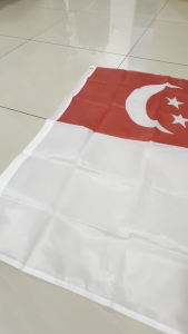 Singapore National Flag Polyester Hand Flag String Flag National Day Celebration Handheld Flag