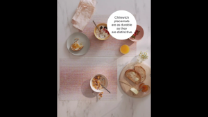 Chilewich Quill Woven Placemat with Microban® Made in USA