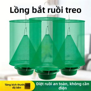 Insect Trap
