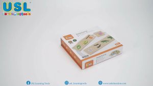 Growing Puzzle Set - Early Learning & Educational Toys & Basic Life Skills